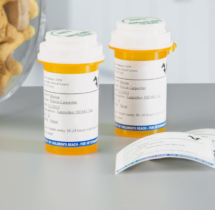 Dymo LabelWriter 2187328 Veterinary Labels Pk 6